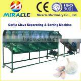 Low Damage Garlic Cloves Grading Machine With Lowest Consumption to Sort Garlic by Size