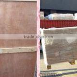 Shanghai Xinzhi International Trading Co., Ltd. company overview - view 3 thumbnail