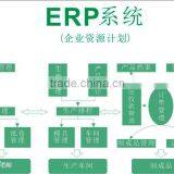 ERP Customization thumbnail-2