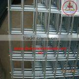 the Factory Price Galvanized Welded Wire Mesh Panel