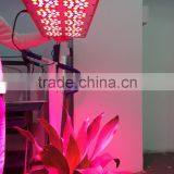 120 Degree Full Spectrum Indoor 450w Led Grow Lighting thumbnail-5