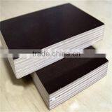 18mm Film Faced Plywood /Shuttering Plywood/ Building Templates thumbnail-5