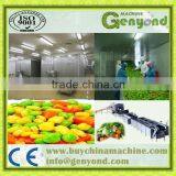 KANGLONG SSD Series IQF Tunnel Instant Deep Freezer Price Quality Choice