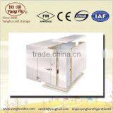 Commercial Beverage Cooler in China thumbnail-1