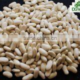 dry white beans