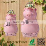 China 0-60minuts Logo Printing Pig Shape Cooking Timer