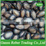 Black Melon Seeds thumbnail-1