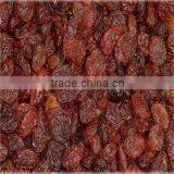 Red Raisins thumbnail-1