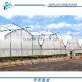 Hot Sale Plastic Film Greenhouse, Vegetables Greenhouse thumbnail-4