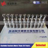 Carbide Non-Standard Tool Parts/Customized Carbide Tools/Carbide Cutting Tools
