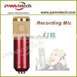 Panvotech S-800 Recording Microphone / Studio Microphone