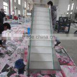 Small Belt Lifting Conveyors for Different Industries thumbnail-1