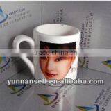 Flatbed Cup Mug Printing Machine Price in India