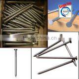 Common Nails Common Construction Wire Nail Anping Nail Price