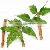 Pure Neem Oil thumbnail-1