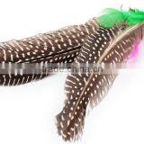 Fishing Pole Cat Teaser For Kitty Cat With Guinea Feather Bird And Coon Tail Toys thumbnail-3