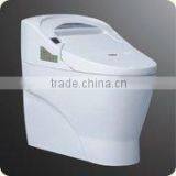 Ceramic Electronic Toilet Seat DI736A