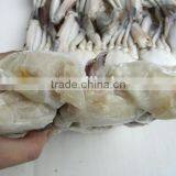 Frozen Half Cut Crab Shell