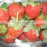Strawberry thumbnail-1