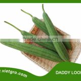 High Yield F1 Hybrid Luffa- Asian Vegetable Seed - DADDY LOOHFAH
