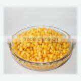 IQF Sweet Corn Kernel