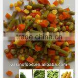 China Top Canned Food Brands Canned Mixed Vegetable in Brine