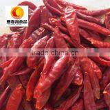 New Crop Dry Red Whole Chilli Exporter thumbnail-1
