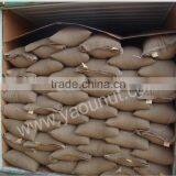 Wholesale Price Apricot Kernels thumbnail-3