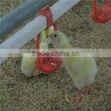 Poultry Layer Chicken Coop Farm Equipment thumbnail-4