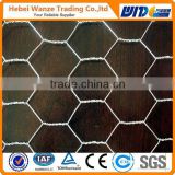 galvanized Hexagonal wire netting / pvc hexagonal wire mesh(factory)