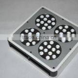 High Quality Apollo Cob Led Grow Light thumbnail-5
