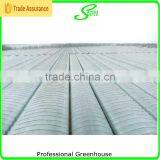High Quality Film Blue Greenhouse for Sale thumbnail-6