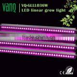 Bridgelux Spectrum King Solo Led Grow Light Newstar Sunshine Led Grow Bar Lighting thumbnail-2