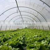 Plastic Film Covered Economic Tunnel Greenhouse For Agricultural Planting thumbnail-4