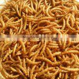 Shan County Yongzheng Pet Food Dried Mealworm thumbnail-1
