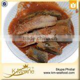 New Processing Easy Open End Canned Mackerel Fish in Tomato Sauce thumbnail-4