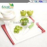 Eco-friendly High Grade Plastic Cheese Bread Cutting Board thumbnail-2