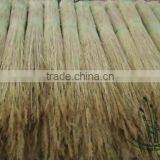 Water Reed thumbnail-1