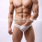 Without Logo Hot Sexi Photo Image Of Transparent Mesh Underwear Briefs Custom SC14 thumbnail-6