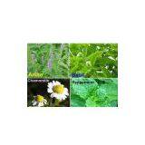 Aromatik thumbnail-1