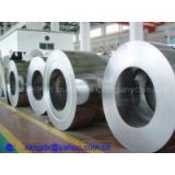 F12 Hot Dipped Galvanized Steel Coils For Industrial Freezers