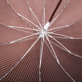 Straight Umbrella thumbnail-3