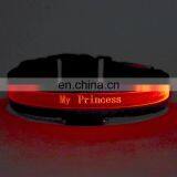 Noble Lettering Custom LED Pet Light Collar Flash Dog Collar thumbnail-3