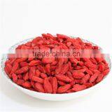 China Goji Berries Bulk for Sale Fresh Crop thumbnail-1