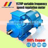 30kw 6 Pole YVP Series Frequency Variable Motor thumbnail-2