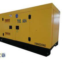 Emergency Use Yangdong Diesel Generator With Stamford/Leroy Somer/Meccalte/Tecgen Alternator thumbnail-2