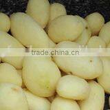 High Output With Cover JYTP-1800 Potato Processing Plant thumbnail-3