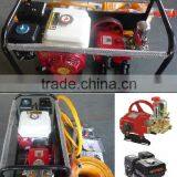 Agricultural Product thumbnail-4