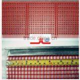 Hot Sale in Russia Market Polyurethane Screen Mesh Application in Mine