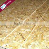 Best osb price osb board 18mm price